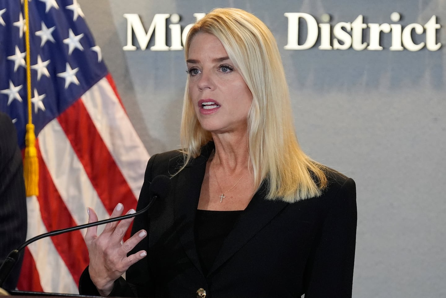 Image for Attorney General Pam Bondi discusses ban on handguns in America