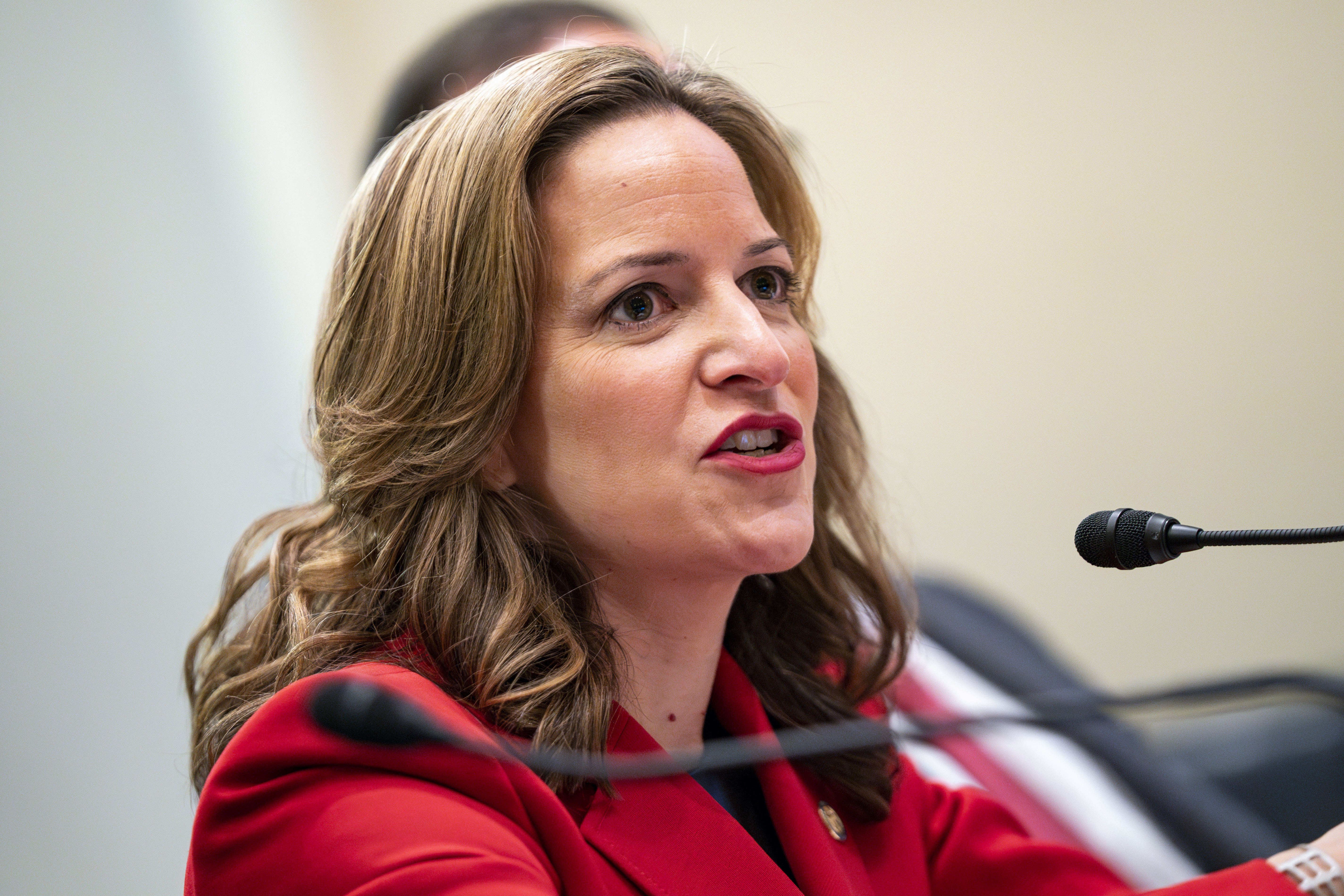 Image for Michigan Court rules mail-in ballots can