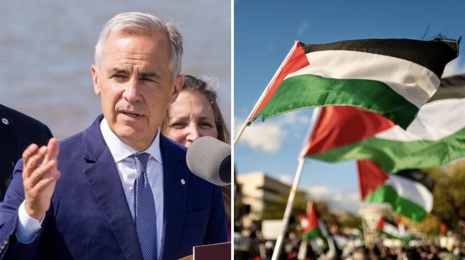 Image for Luxembourg and Andorra formally recognize the State of Palestine