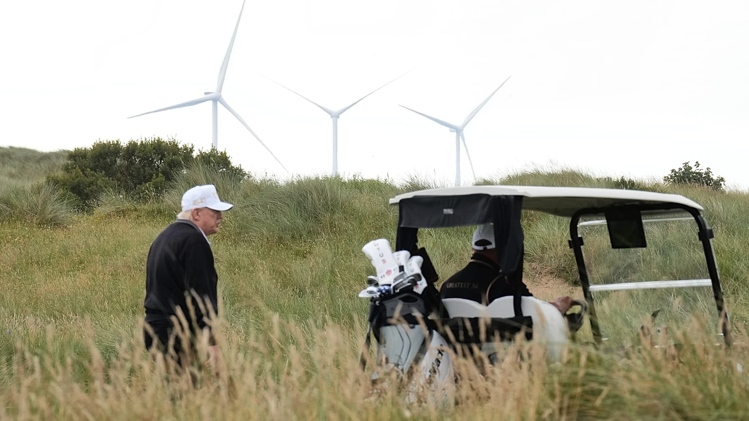 Image for Trump criticizes renewables as expensive and ineffective