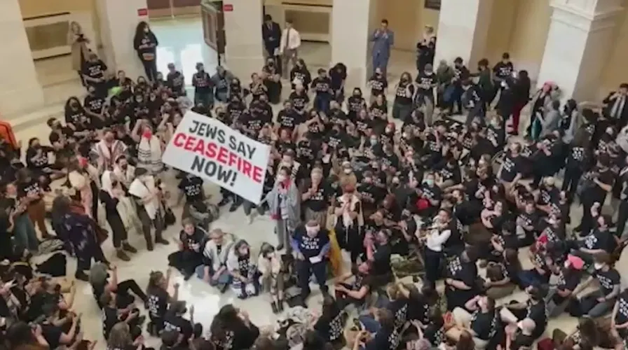 Pro-Palestinian demonstrators swarm on Capitol Hill, demand Gaza ...