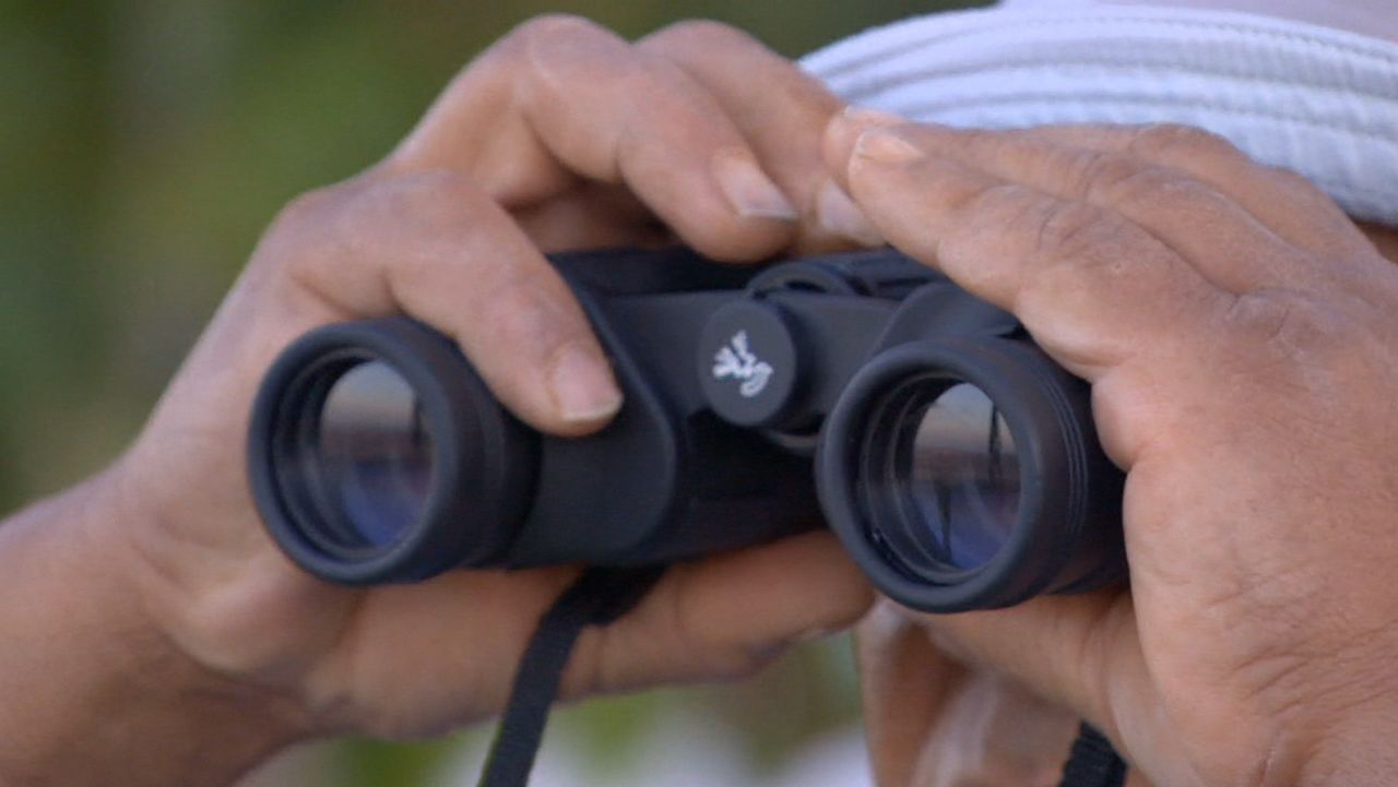 Israeli Druze minority caught in Syria war | CNN