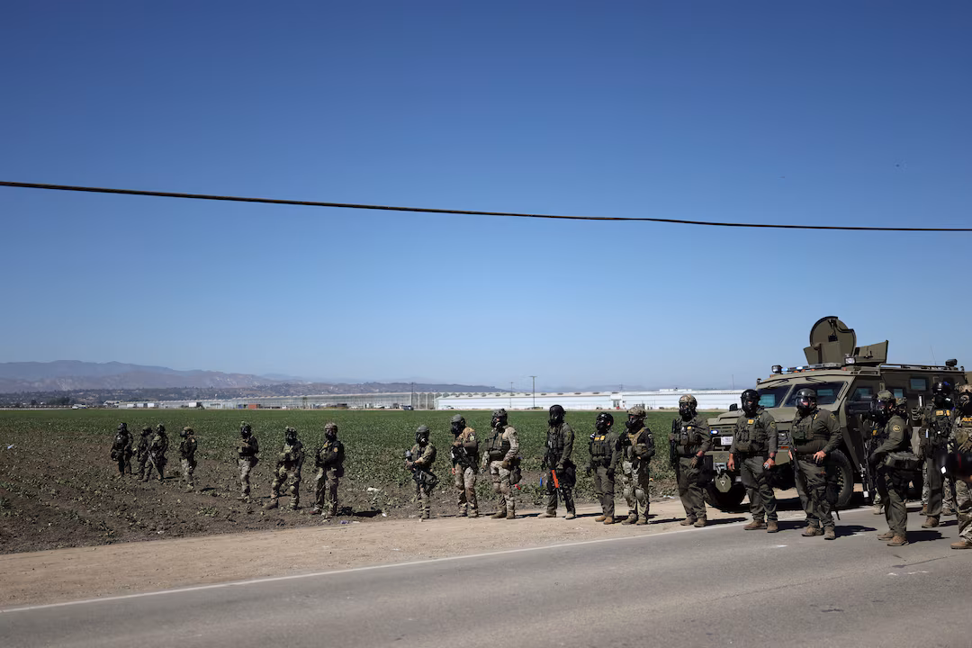 Immigration raids on California cannabis nurseries spark ...