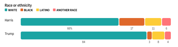 AP VoteCast: How Donald Trump built a winning 2024 coalition ...