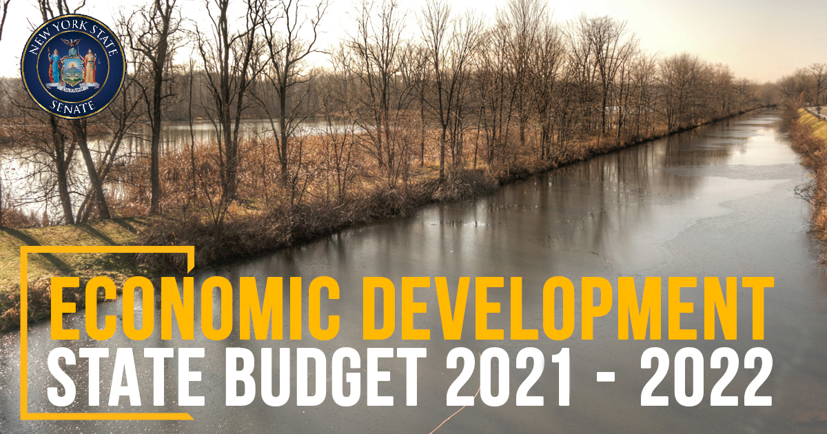 Joint Legislative Public Hearing on 2021 Executive Budget ...