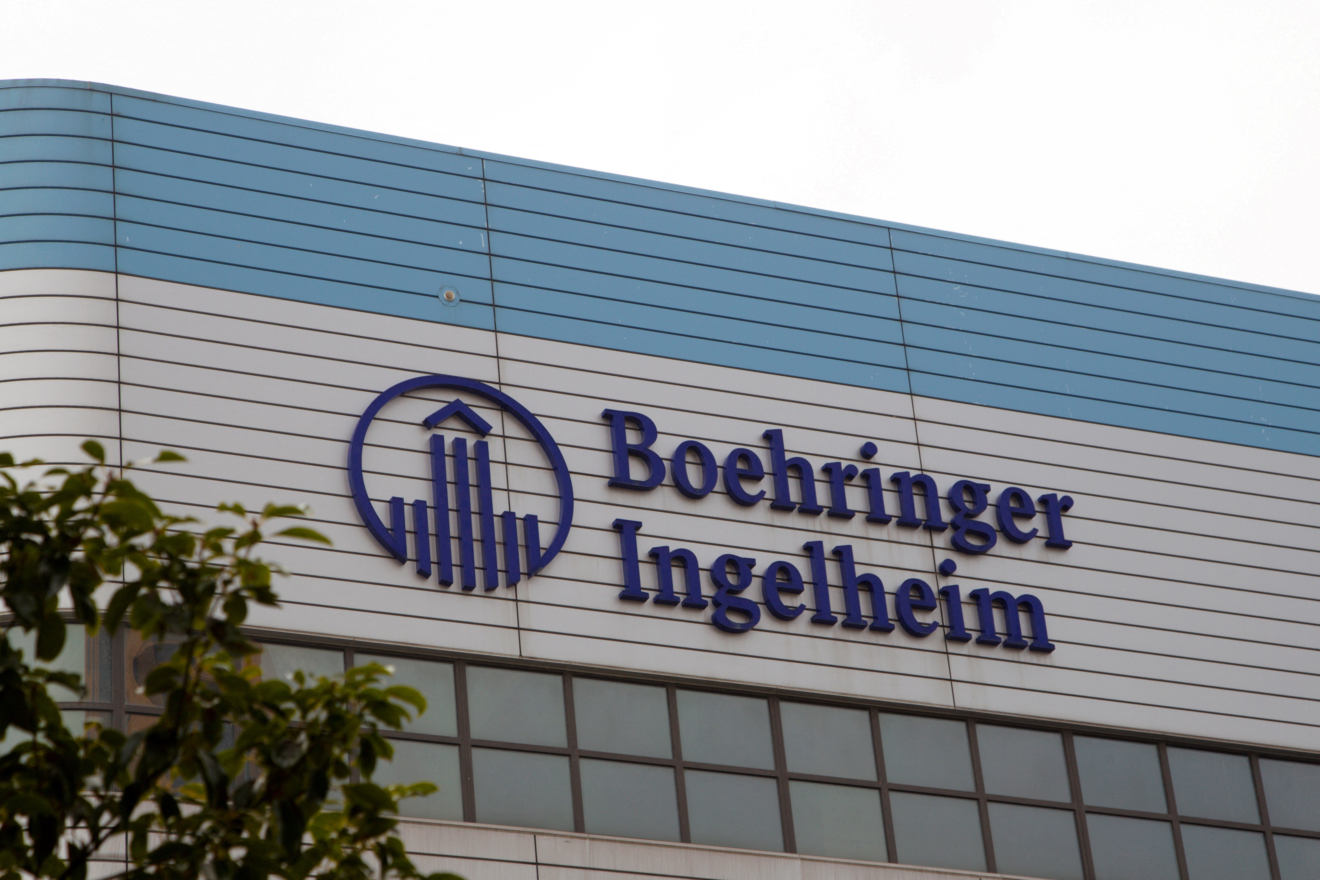 Boehringer replaces Bayer as Germany