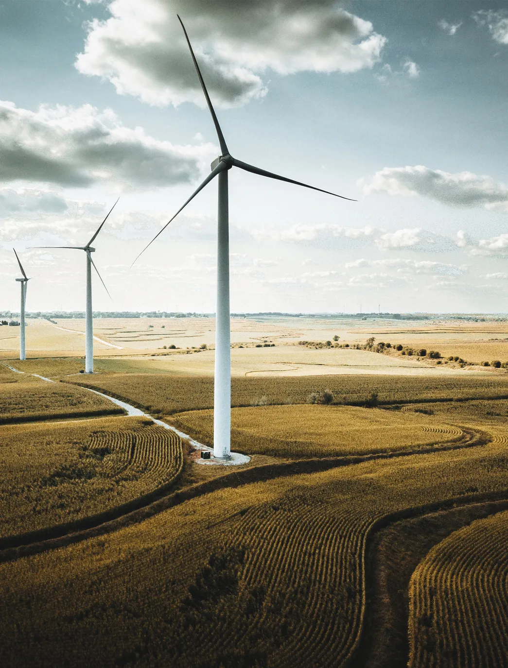 Climate change: Texas embraces wind farms, green future