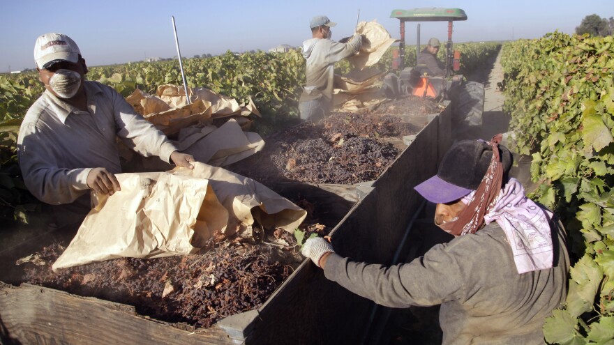 A human-trafficking case exposed farmworker abuses. The ...