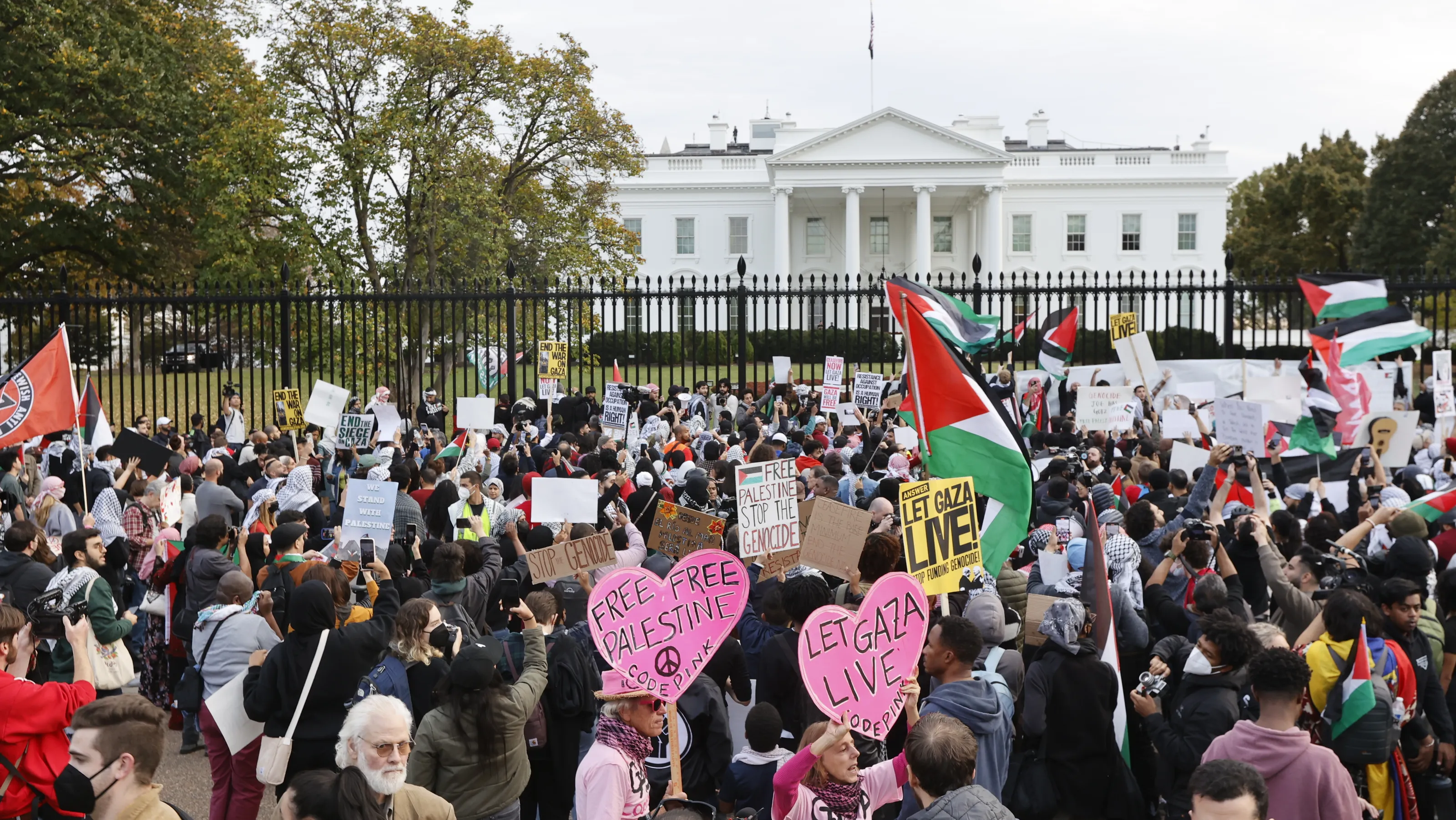 Demonstrators protest for Palestinian rights in Washington DC