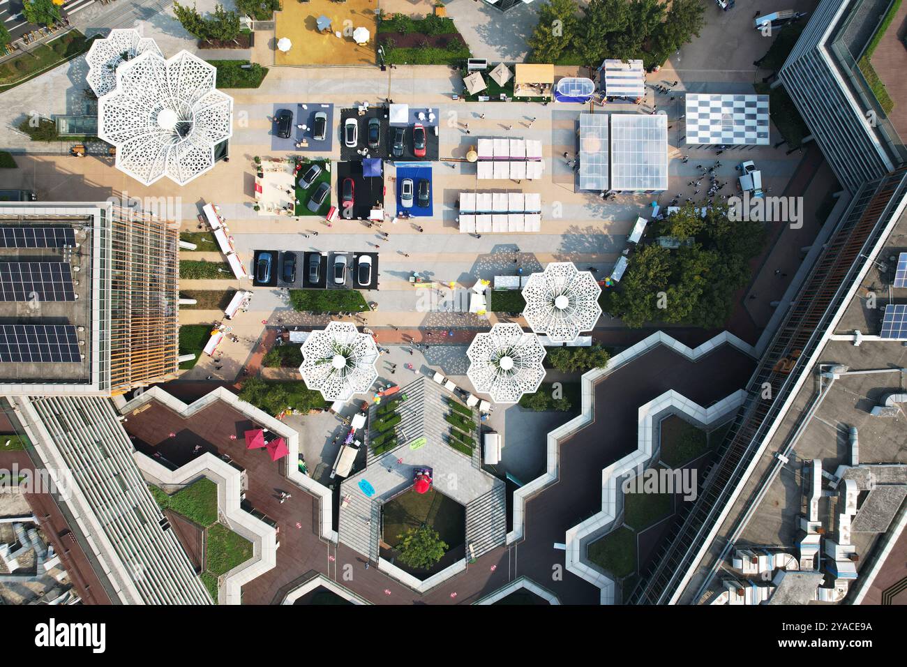 Hangzhou, China. 13th Oct, 2024. HANGZHOU, CHINA - OCTOBER 13 ...