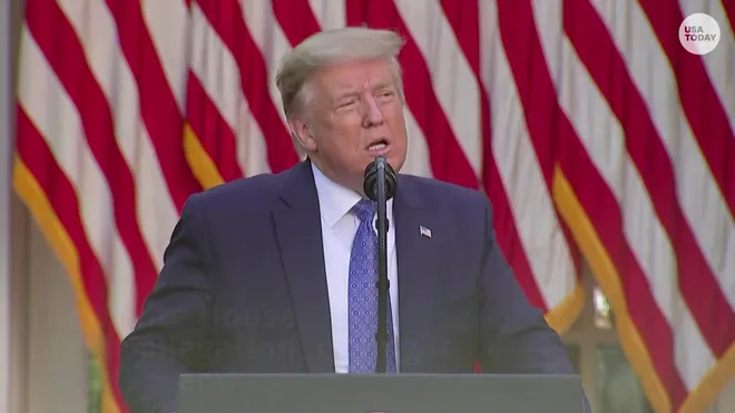 Trump book: Mary Trump