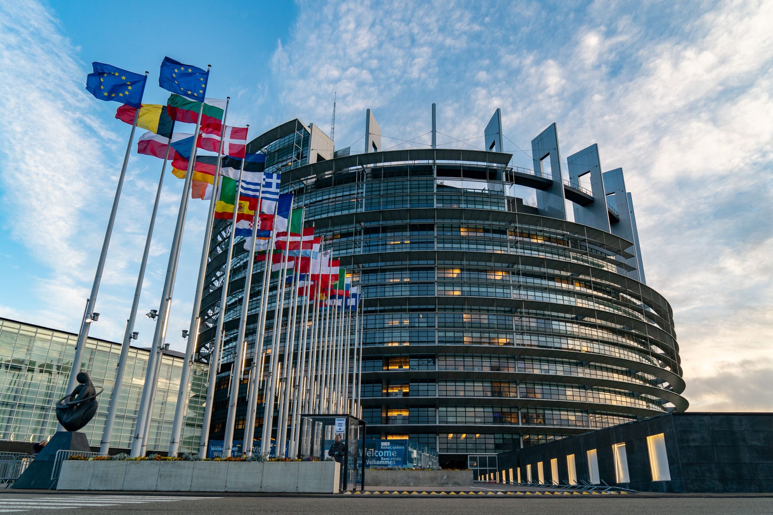 FALQs: European Parliament Elections | In Custodia Legis