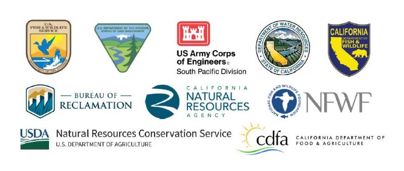 CDFW News | California