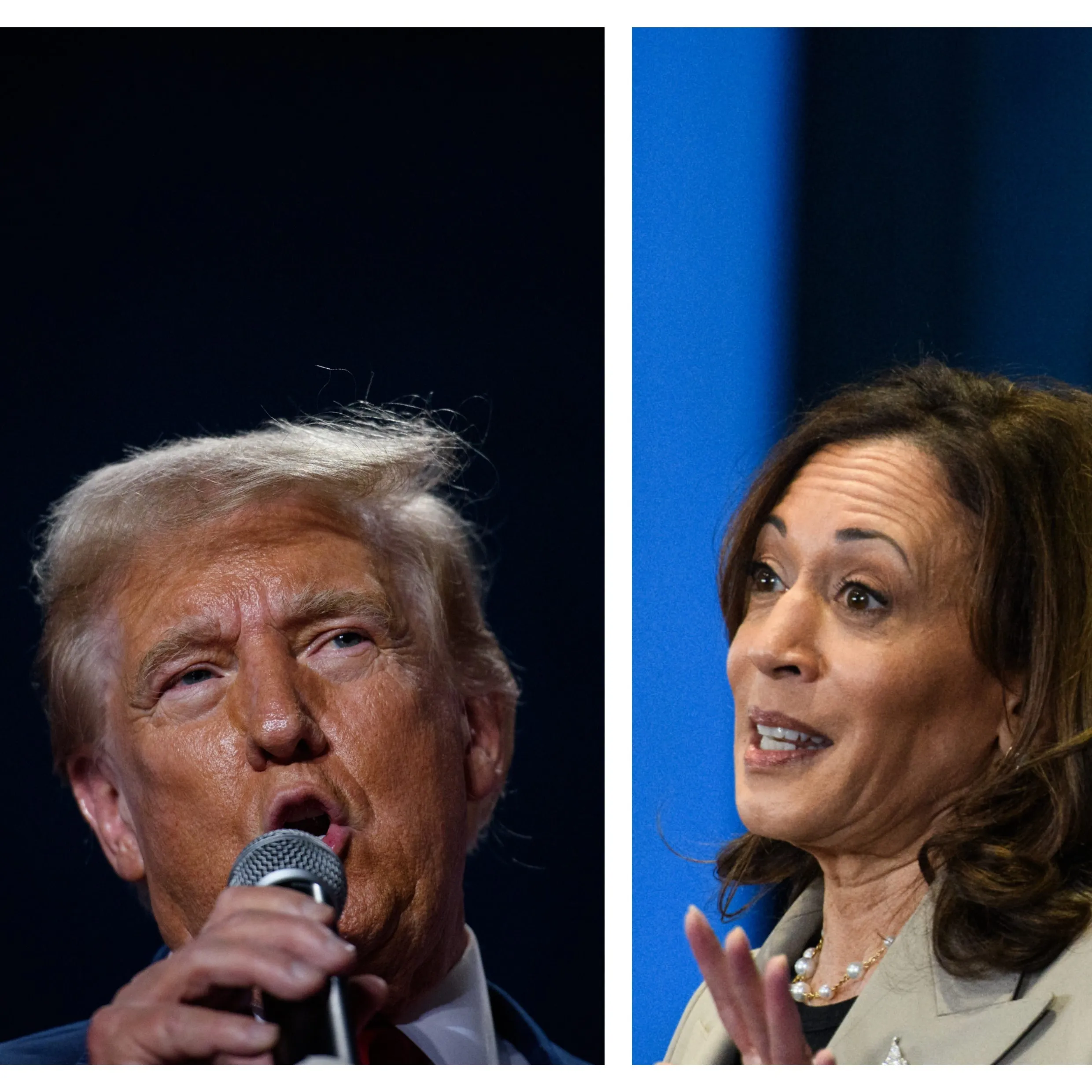 Presidential election polls 2024: Latest surveys on Harris vs ...