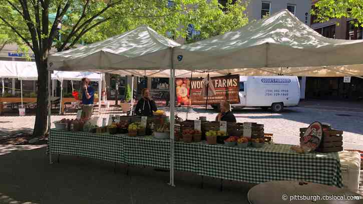 Port Authority names Katharine Eagan Kelleman new CEO - Pittsburgh news ...