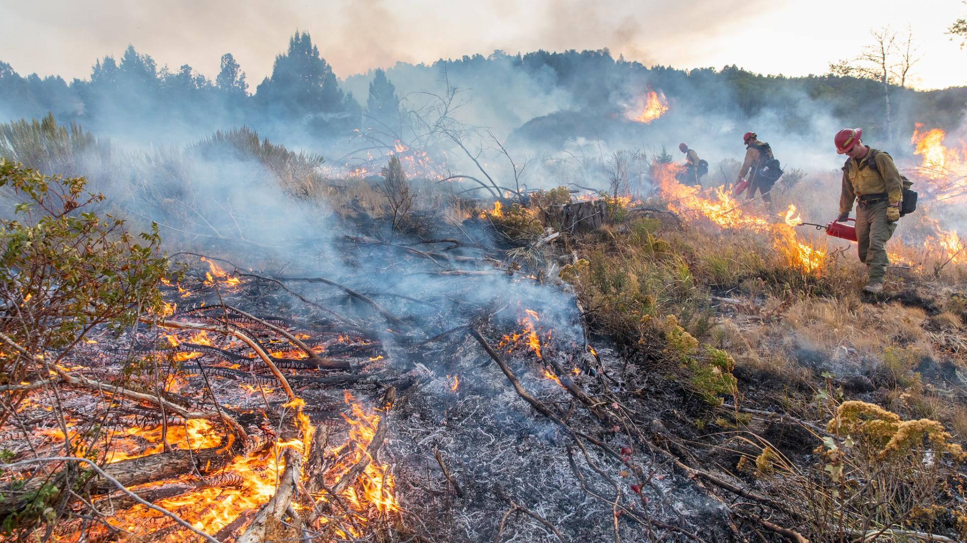 Meeting the challenges of COVID-19 | U.S. Department of the ...