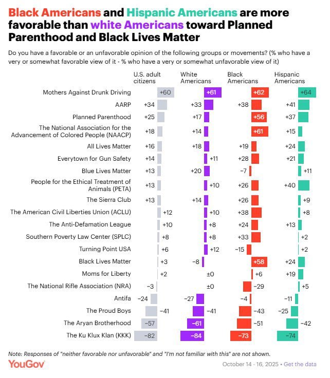 Black and Hispanic Americans view Planned Parenthood, BLM, ADL more positively than White Americans, YouGov poll finds