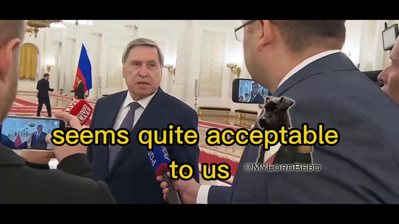 [Video] Putin Finds U.S. Peace Proposal 'Acceptable,' Awaiting Trump Meeting for Details