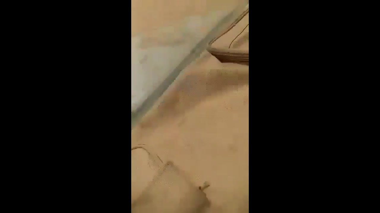 [Video] Libyan Tuareg Reinforcements Surge into Northern Mali, Intensifying Regional Conflict