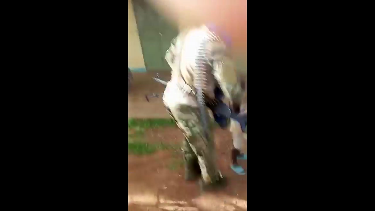 [Video] JNIM Strikes Again: 20 Burkinabe Soldiers Killed in Latest Assault Amid Rising Terror