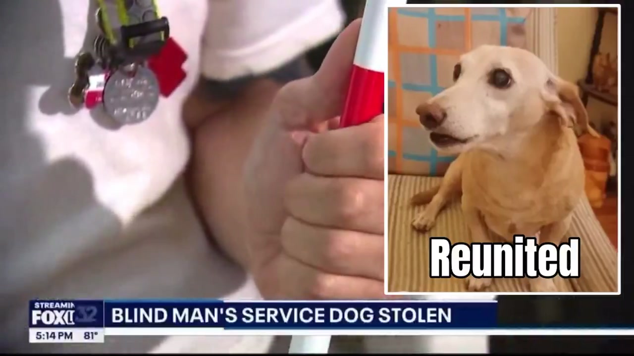 [Video] Breaking: Blind Chicago Man Reunited with Stolen Dog After 2 Months