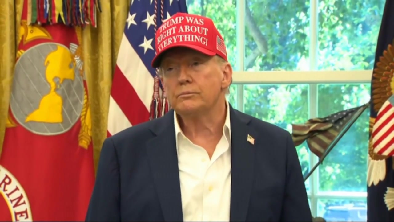 [Video] Breaking: Trump Declares Epstein Files a Democrat Hoax, Urges Transparency