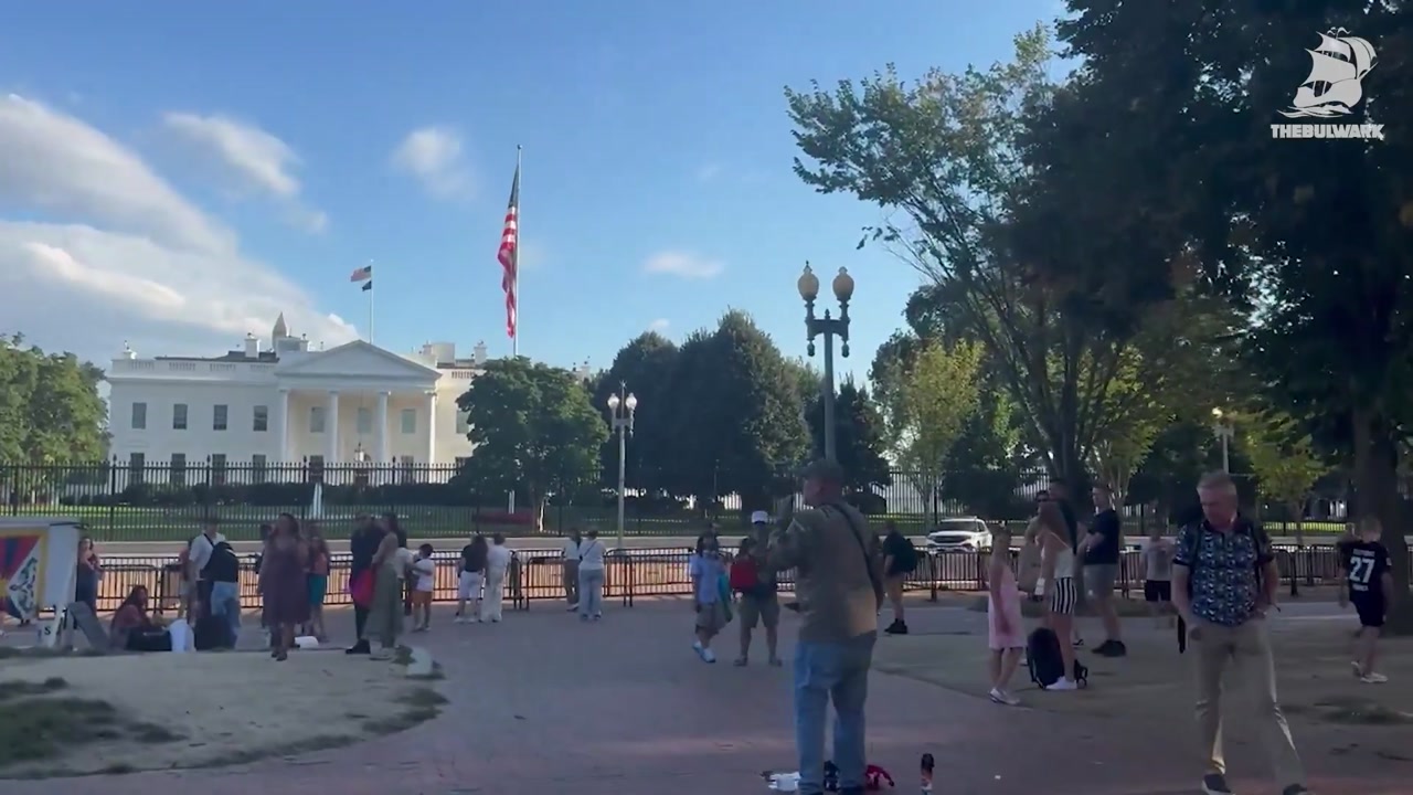 [Video] Veteran Arrested for Burning U.S. Flag in Protest Against Trump Directive