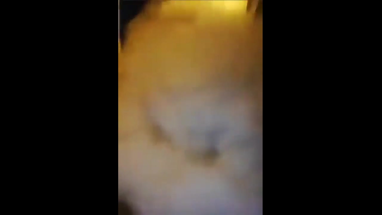 [Video] Deadly 6.0 Earthquake Strikes Afghanistan, Leaving 812 Dead