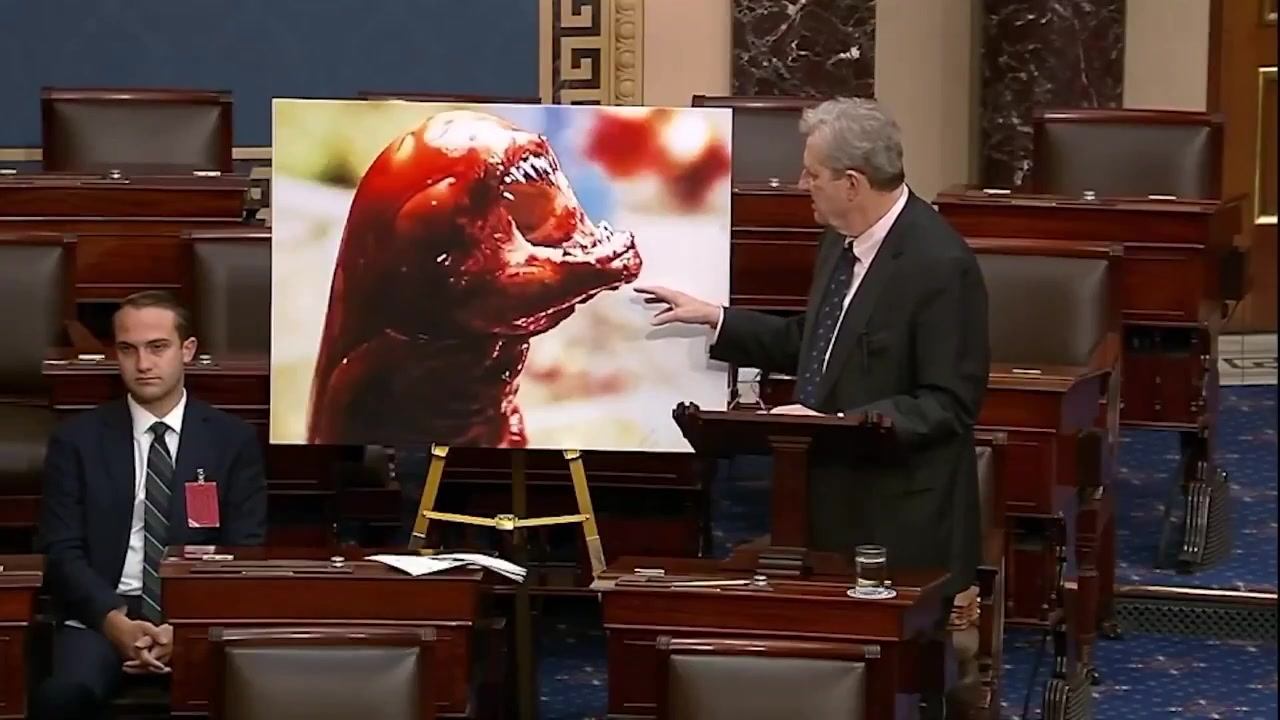 [Video] Senator Kennedy Warns: Frozen Radioactive Shrimp Could Alter Humanity
