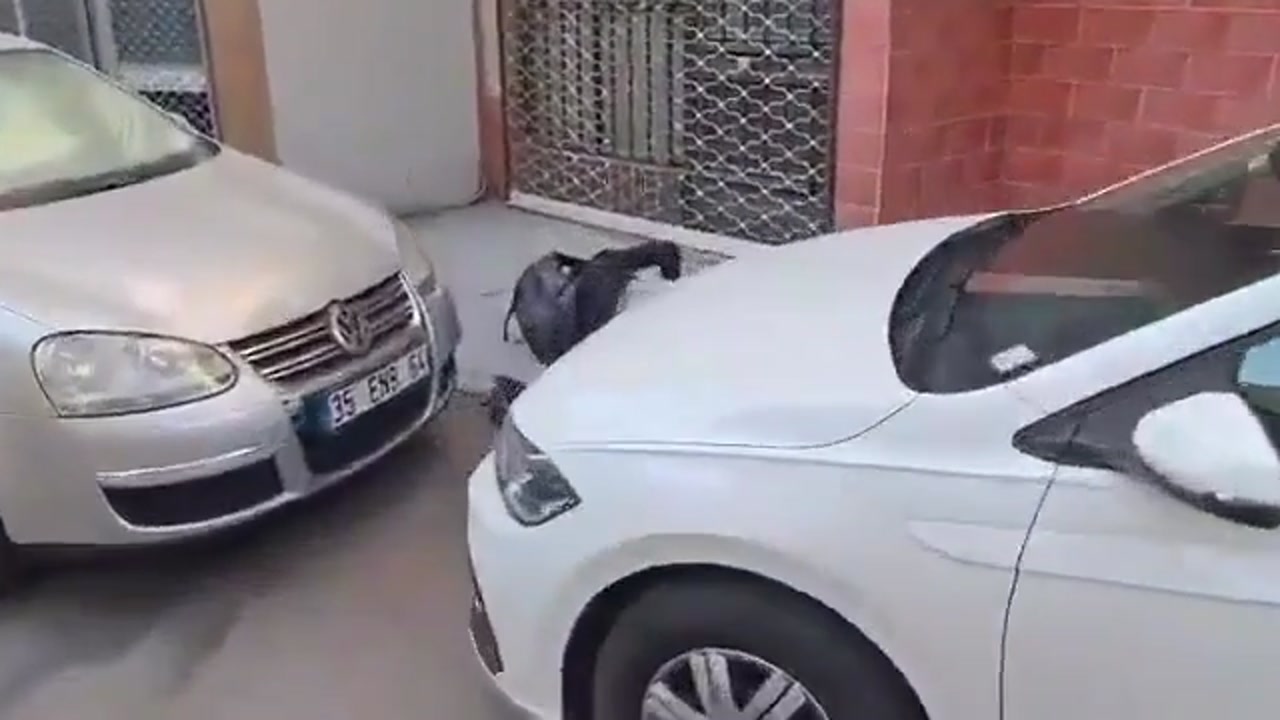 [Video] Teen Gunman Opens Fire at İzmir Police Station, Killing 2 Officers