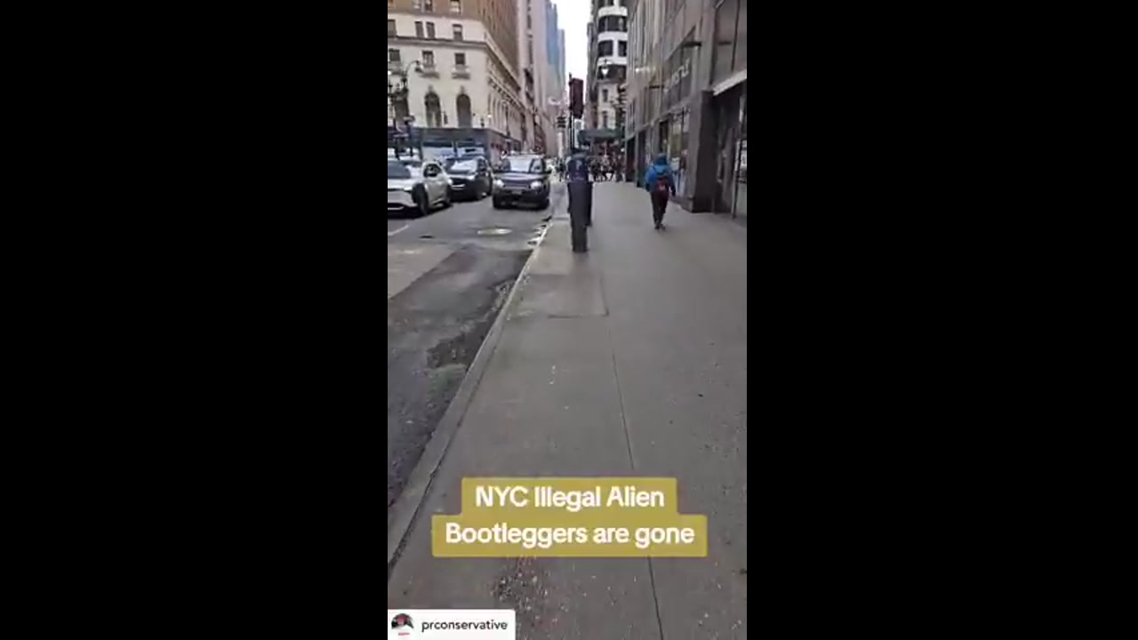 [Video] Trump Celebrates New York's Safety Boost in Viral Resident Video