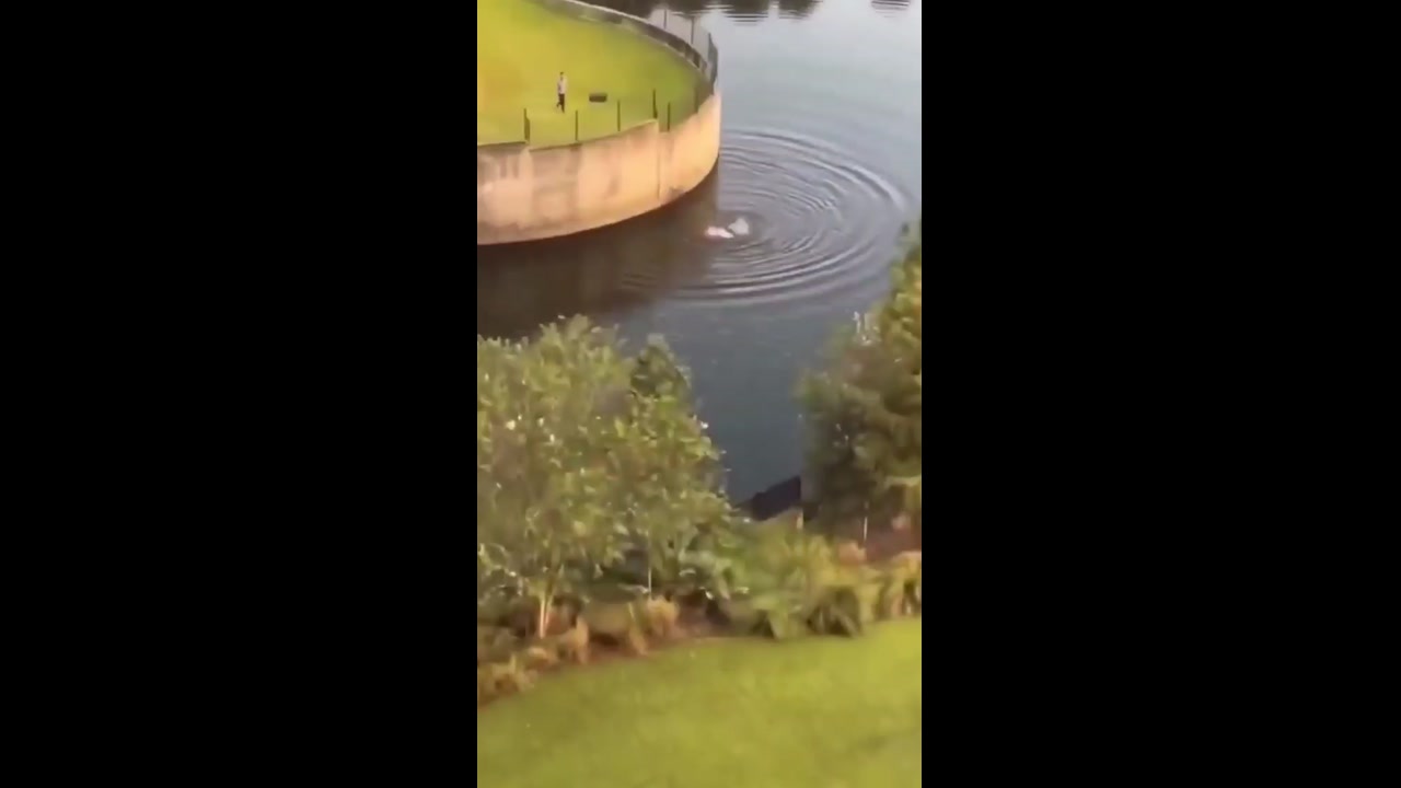 [Video] Man stabs two women in Cascades Park, later found dead in pond