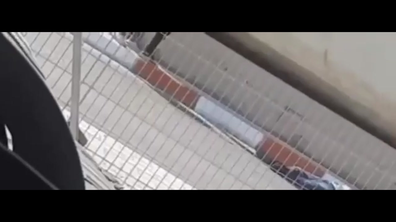 [Video] Terrorist attack at Allenby Crossing kills 2 Israelis, attacker eliminated