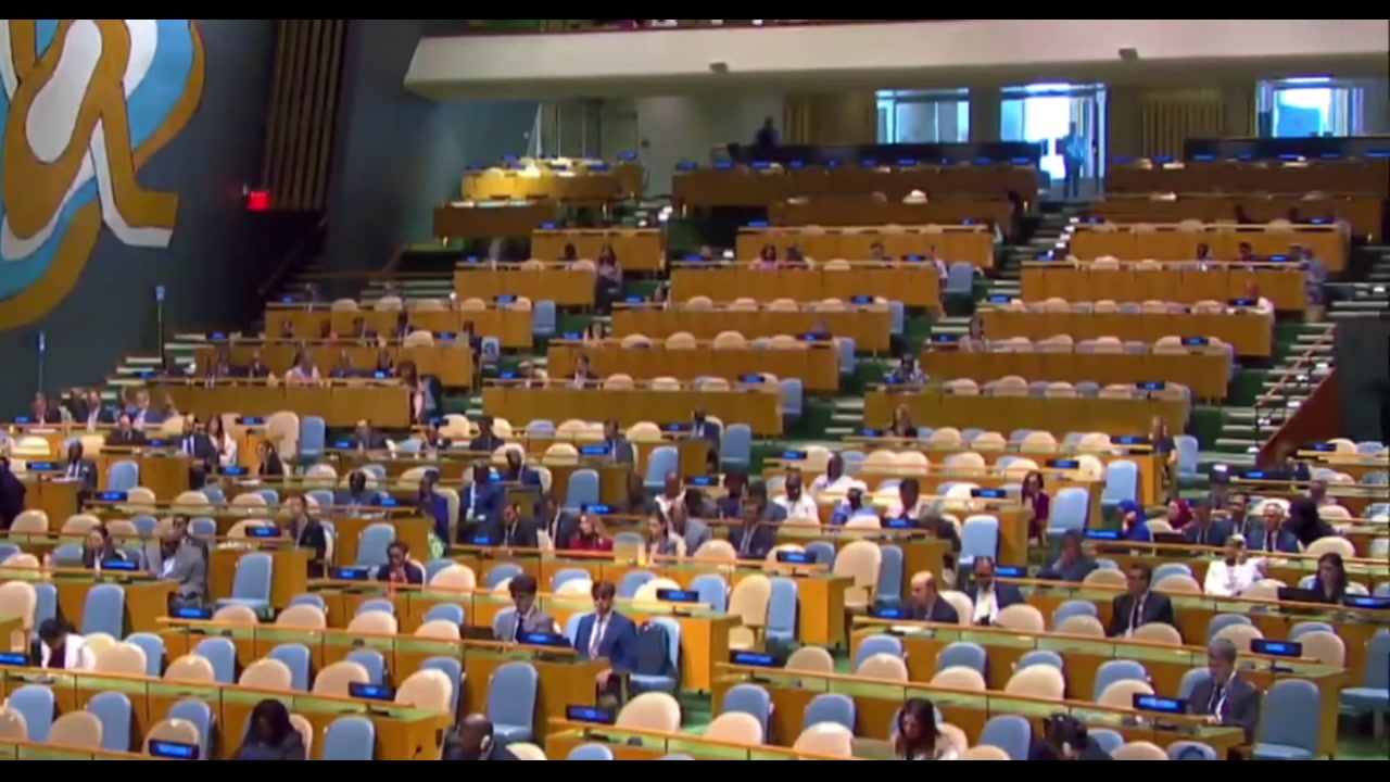 [Video] Audience watches Russian Foreign Minister Sergey Lavrov's UN speech