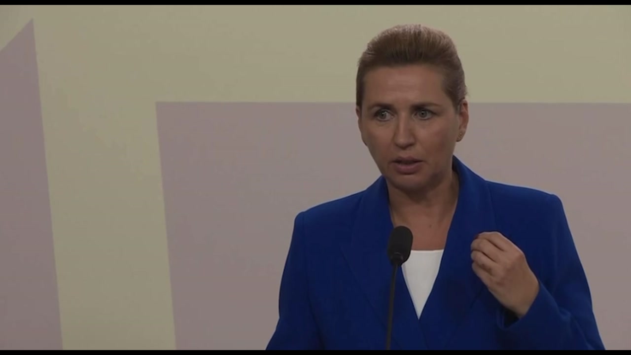 [Video] Denmark's PM supports EU's 'drone wall' defense plan amid ongoing drone threats