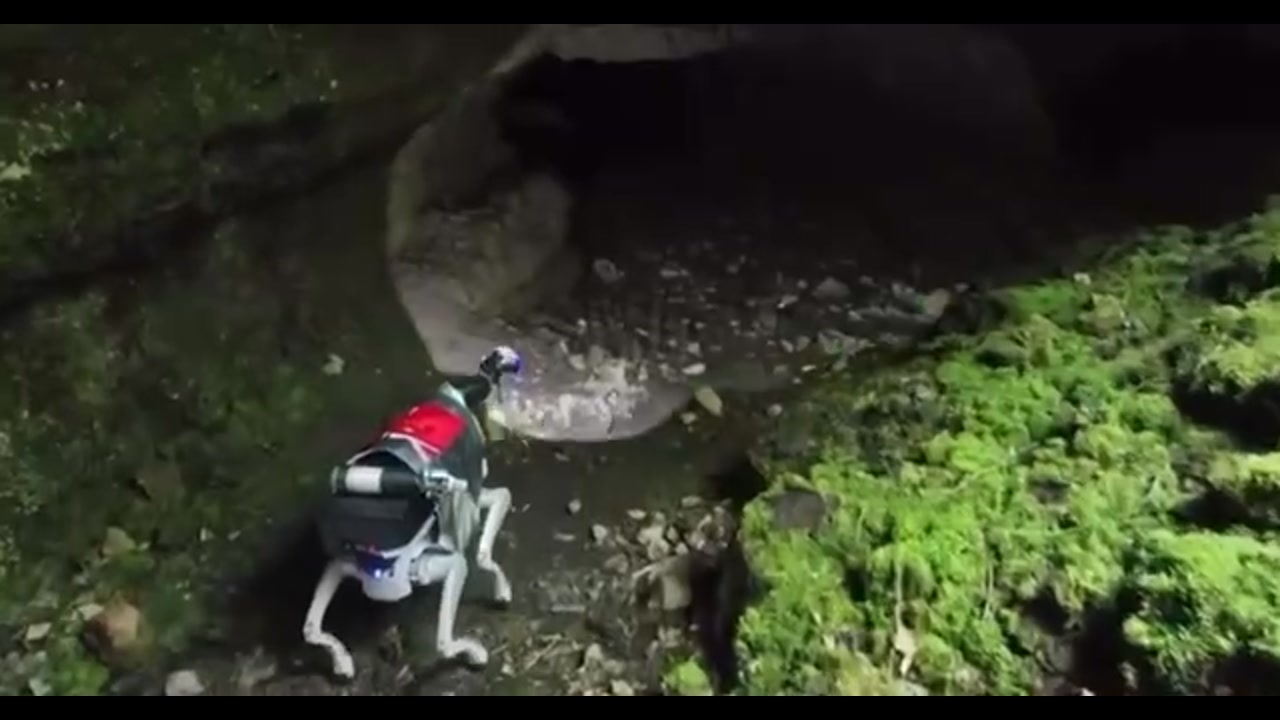 [Video] China trains robotic dogs for lunar missions in cave tests