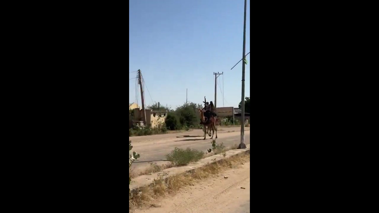 [Video] RSF militants dominate streets of El Fasher on camels and motorcycles