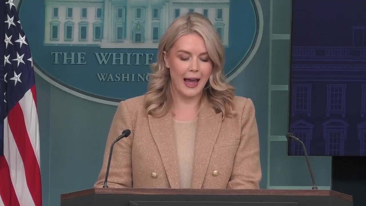 [Video] Trump administration reexamines Afghan imports under Biden for security risks