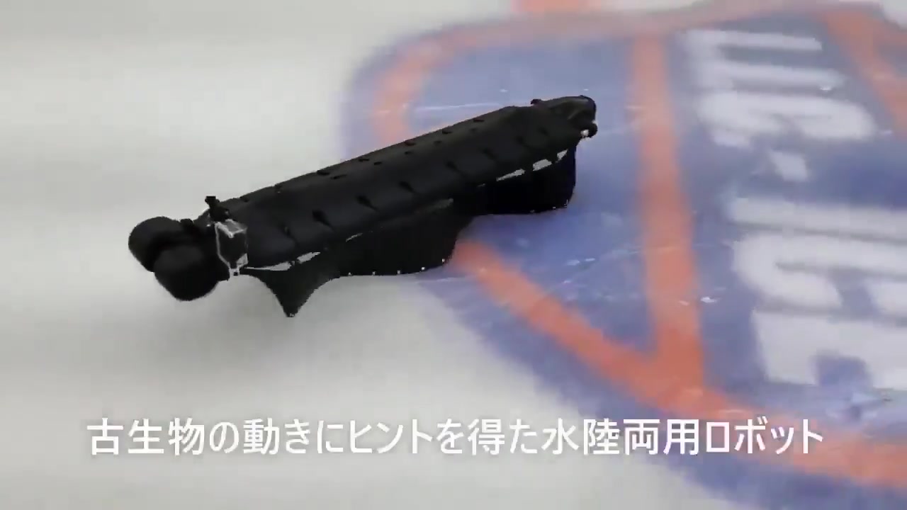 [Video] C-Ray underwater robot uses flexible fins for quiet, efficient movement