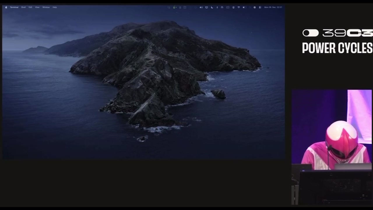 [Video] Hacker 'Martha Root' deletes servers of three white supremacist websites live