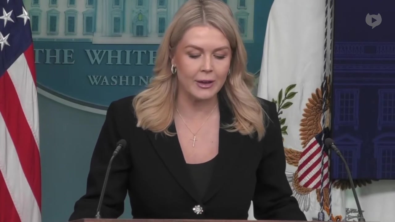 [Video] White House links fatal Minneapolis ICE shooting to left-wing movement