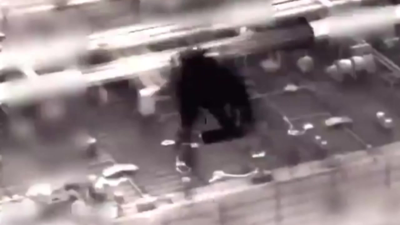 [Video] U.S. forces seize oil tanker Olina in Caribbean Sea near Trinidad